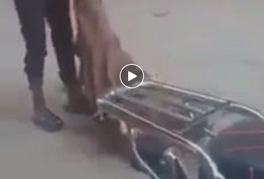 سحل رجل مسن في مصر watan.com