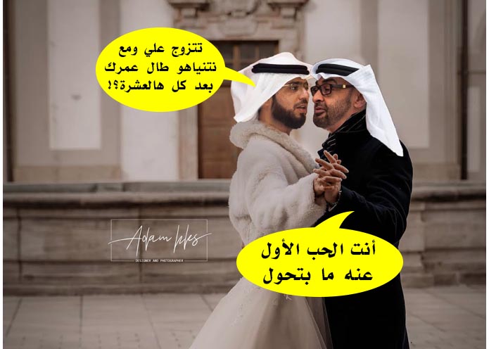تطبيع الإمارات مع الإحتلال بدلا من تركيا watan.com