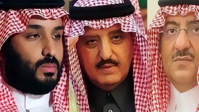 توتو وقلق بن سلمان سيقتله من بن نايف و أحمد بن عبد العزيز watan.com