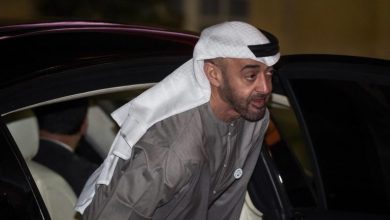ولي عهد أبوظبي يعترف صراحة إنه شيطان العرب watan.com