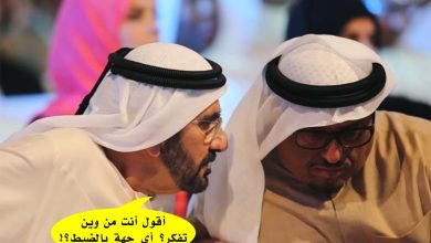 ضاحي خلفان watan.com