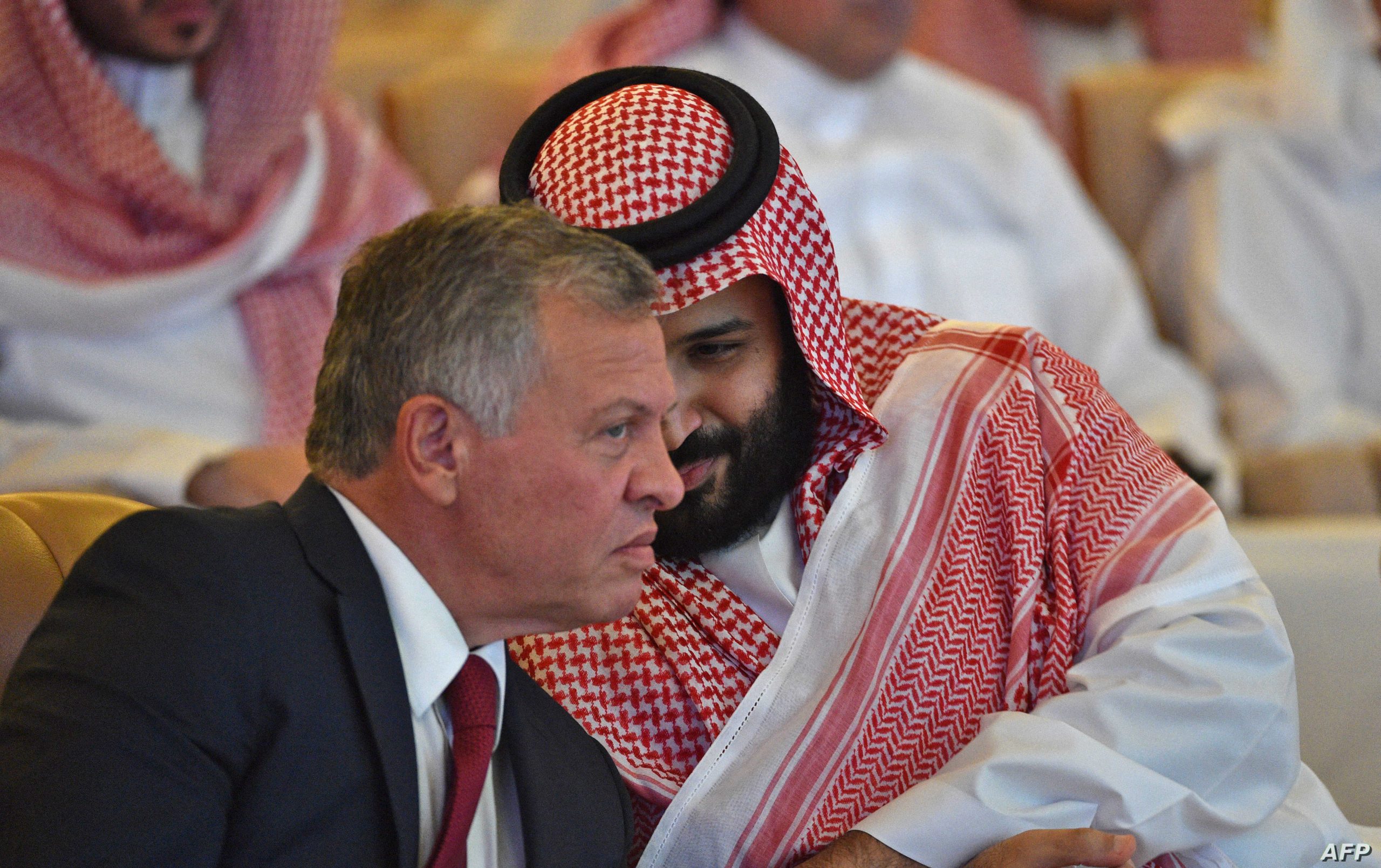 ولي عهد السعودية watan.com