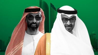 الإمارات تضخ ملايين الدولارات watan.com